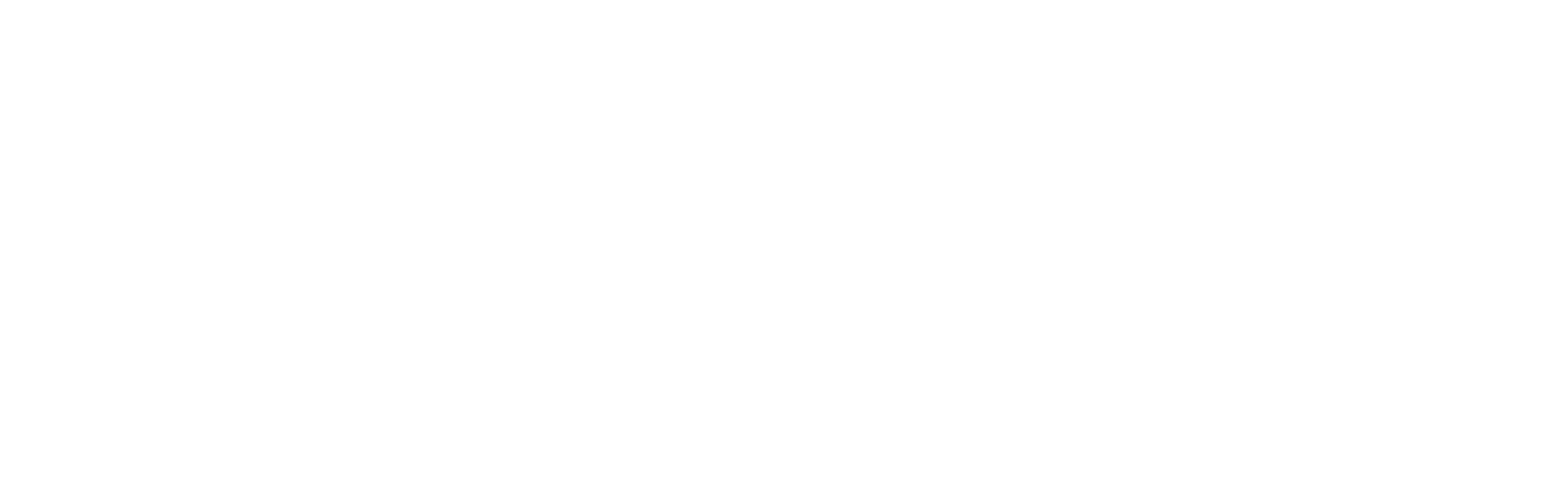CCSA Logo 1 (white)